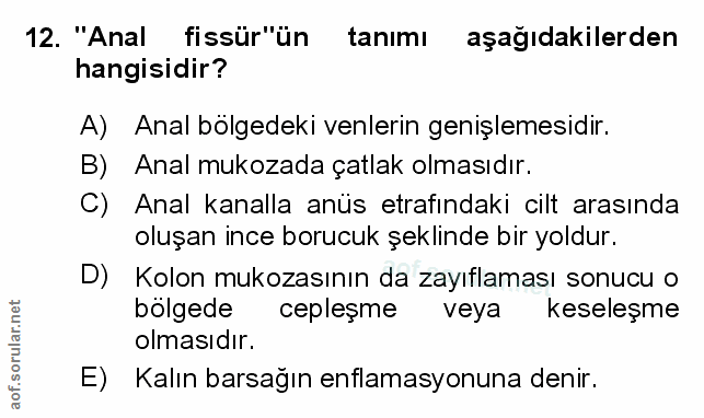 Soru 12