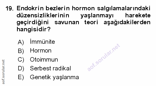 Soru 19
