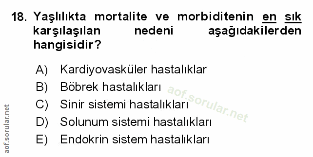 Soru 18