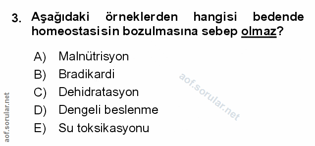 Soru 3