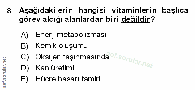 Soru 8