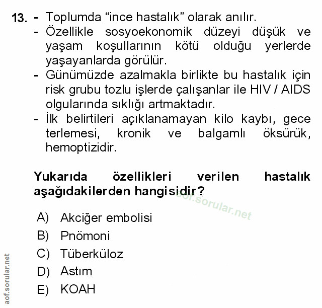 Soru 13
