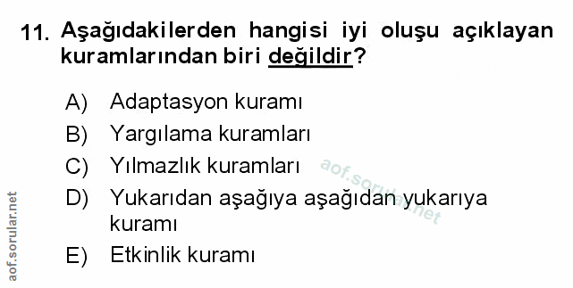 Soru 11