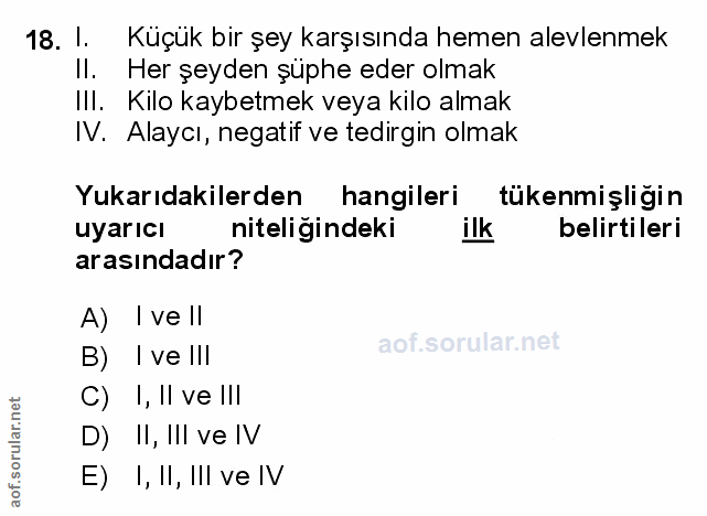 Soru 18
