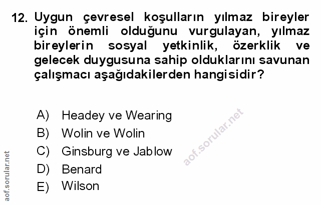 Soru 12