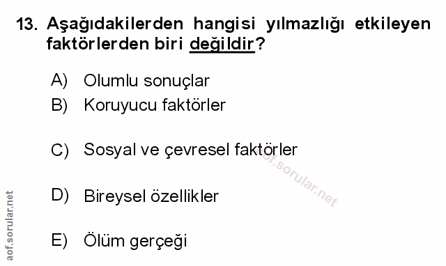 Soru 13