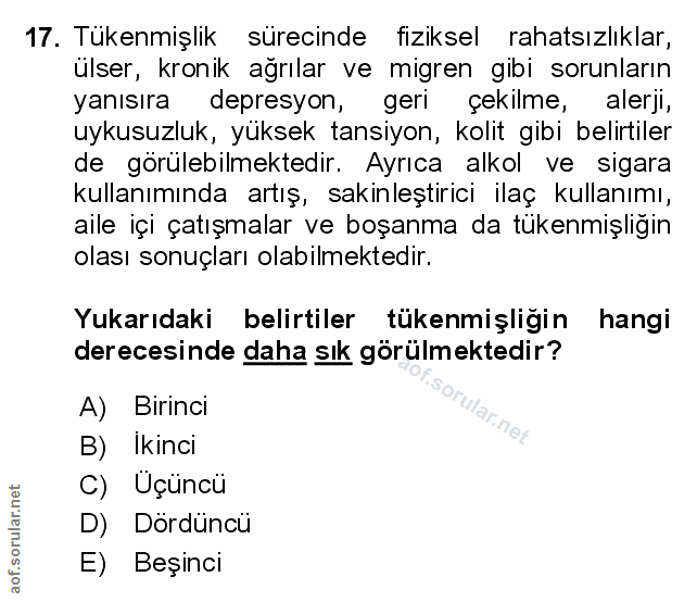 Soru 17