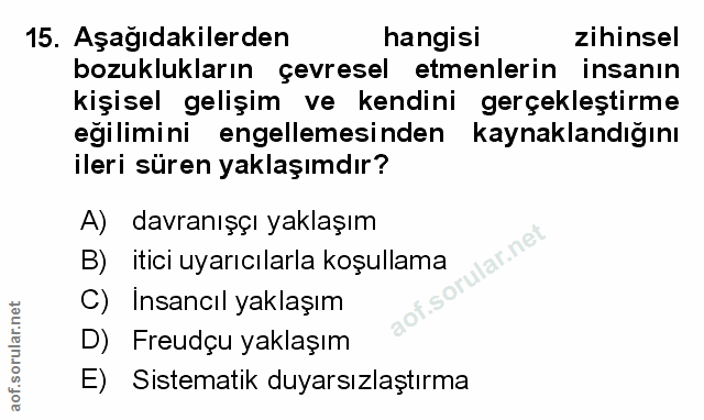 Soru 15