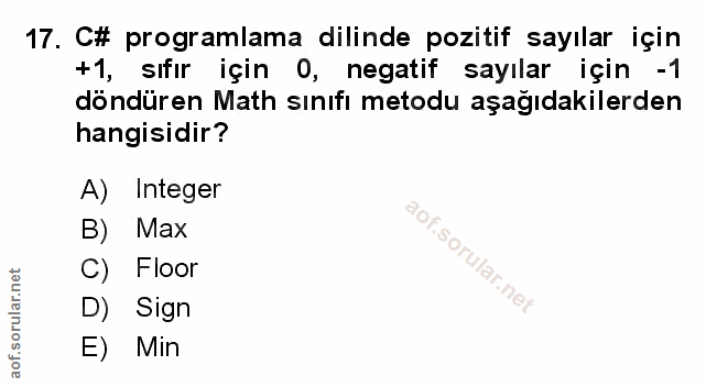 Soru 17