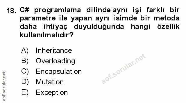 Soru 18
