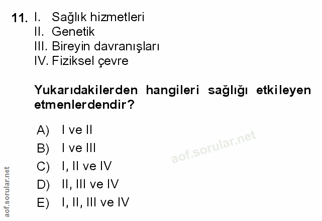 Soru 11