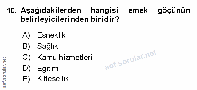 Soru 10