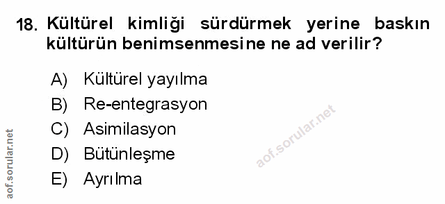 Soru 18