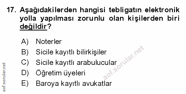 Soru 17