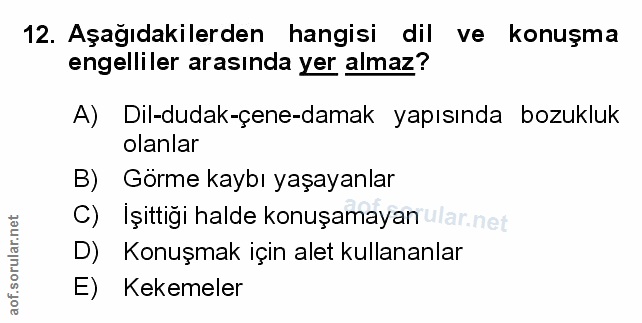 Soru 12