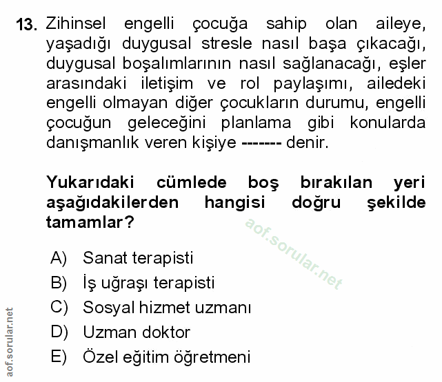 Soru 13