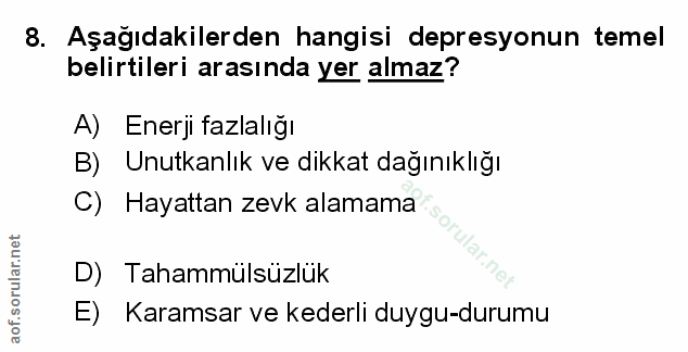 Soru 8