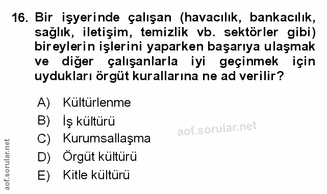 Soru 16
