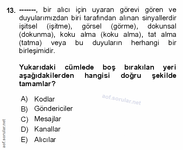 Soru 13