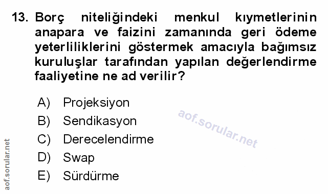 Soru 13