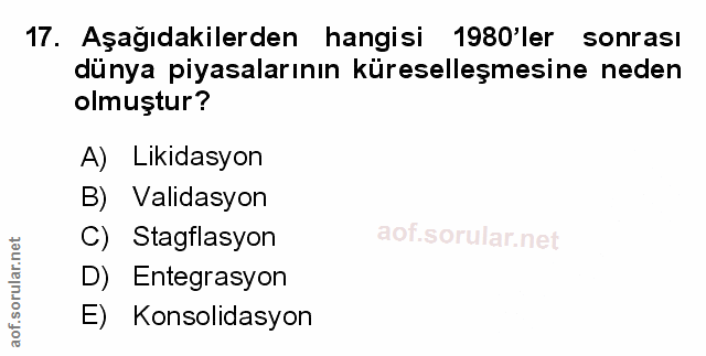Soru 17