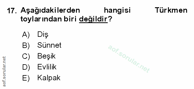 Soru 17