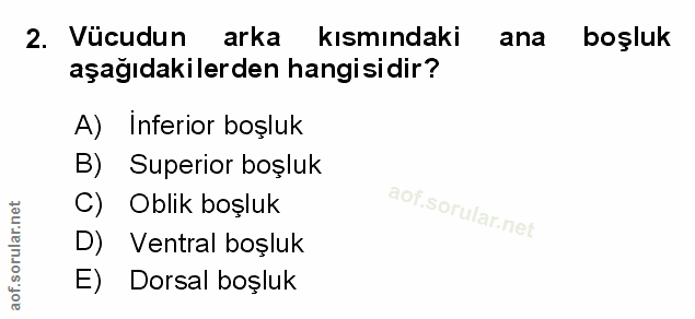Soru 2