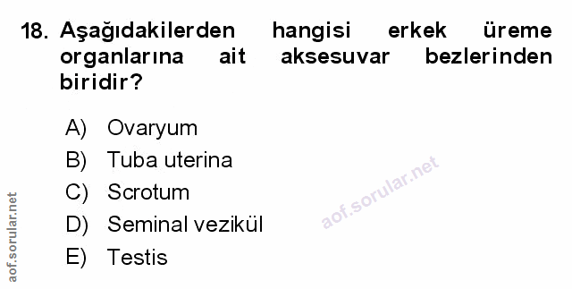 Soru 18
