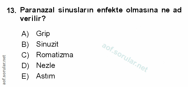 Soru 13
