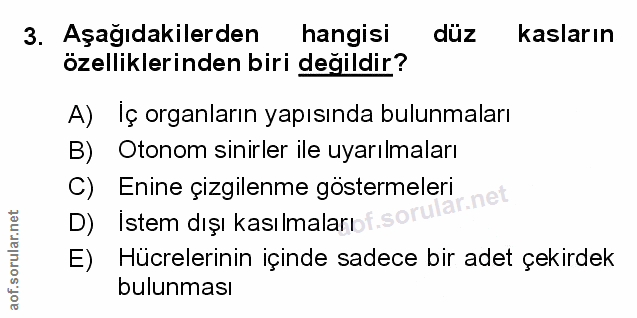 Soru 3