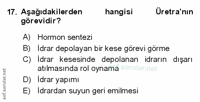 Soru 17