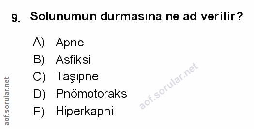 Soru 9