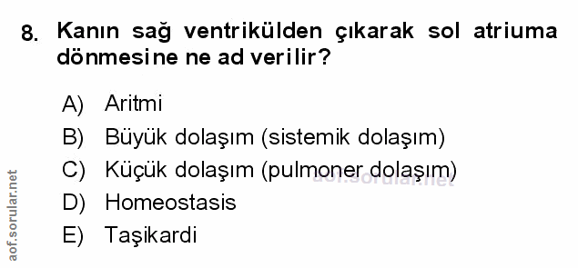 Soru 8