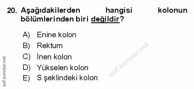 Soru 20