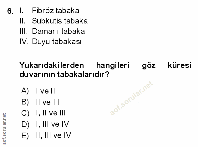 Soru 6