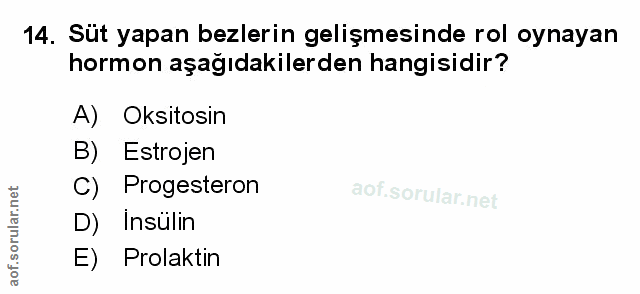 Soru 14