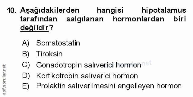 Soru 10