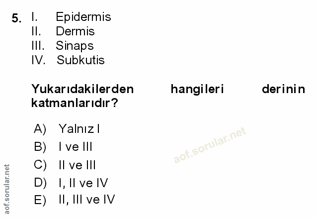Soru 5