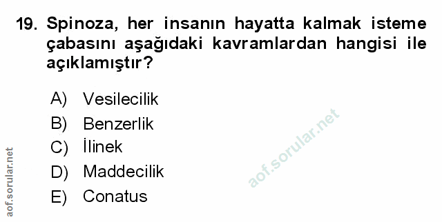Soru 19