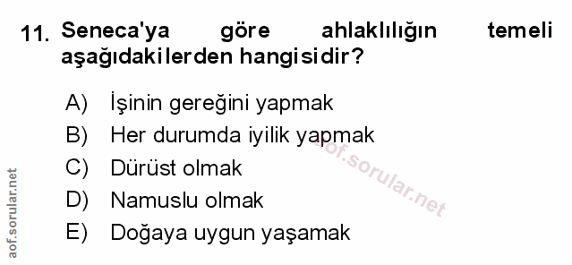 Soru 11