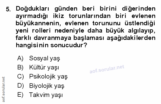 Soru 5