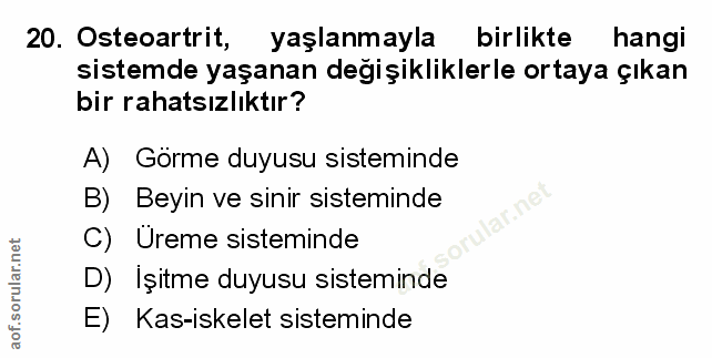 Soru 20