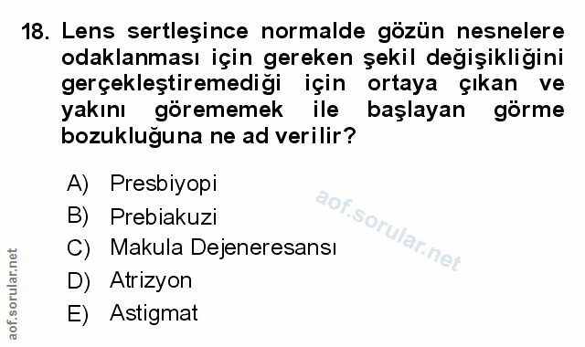Soru 18