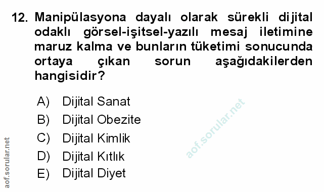 Soru 12