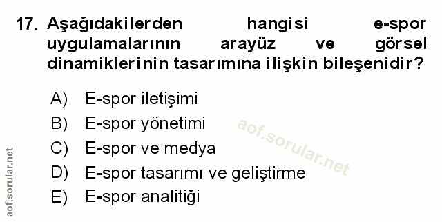 Soru 17