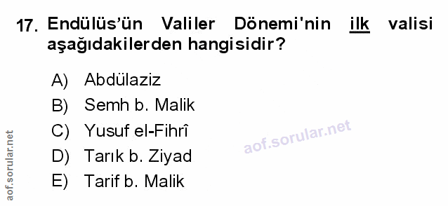 Soru 17