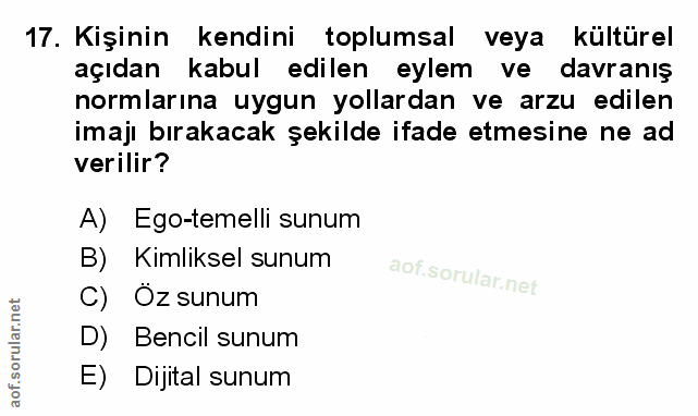 Soru 17
