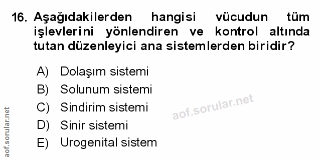 Soru 16