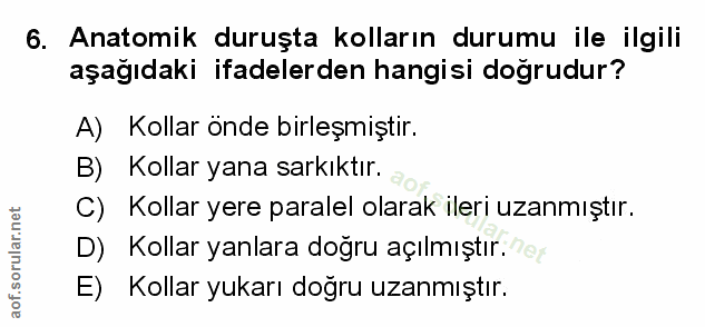 Soru 6
