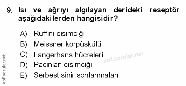 Soru 9